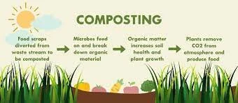 Sort Your Food Waste