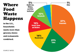 What Are the Major Sources of Food Waste?