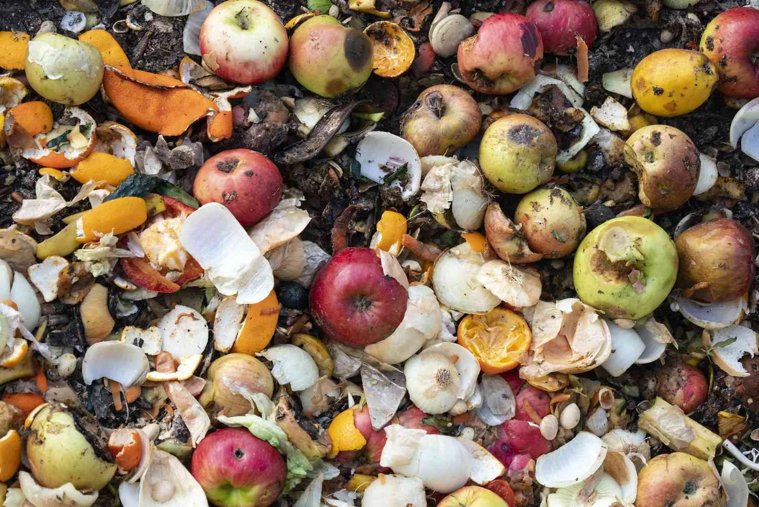 How Food Waste Affects Our Environment