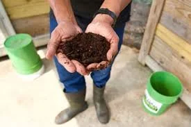 Why We Believe in Composting