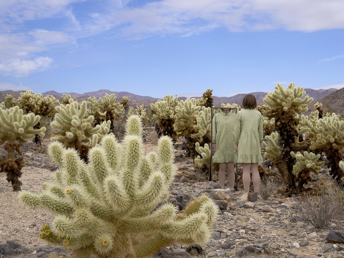ChollaGarden.jpg