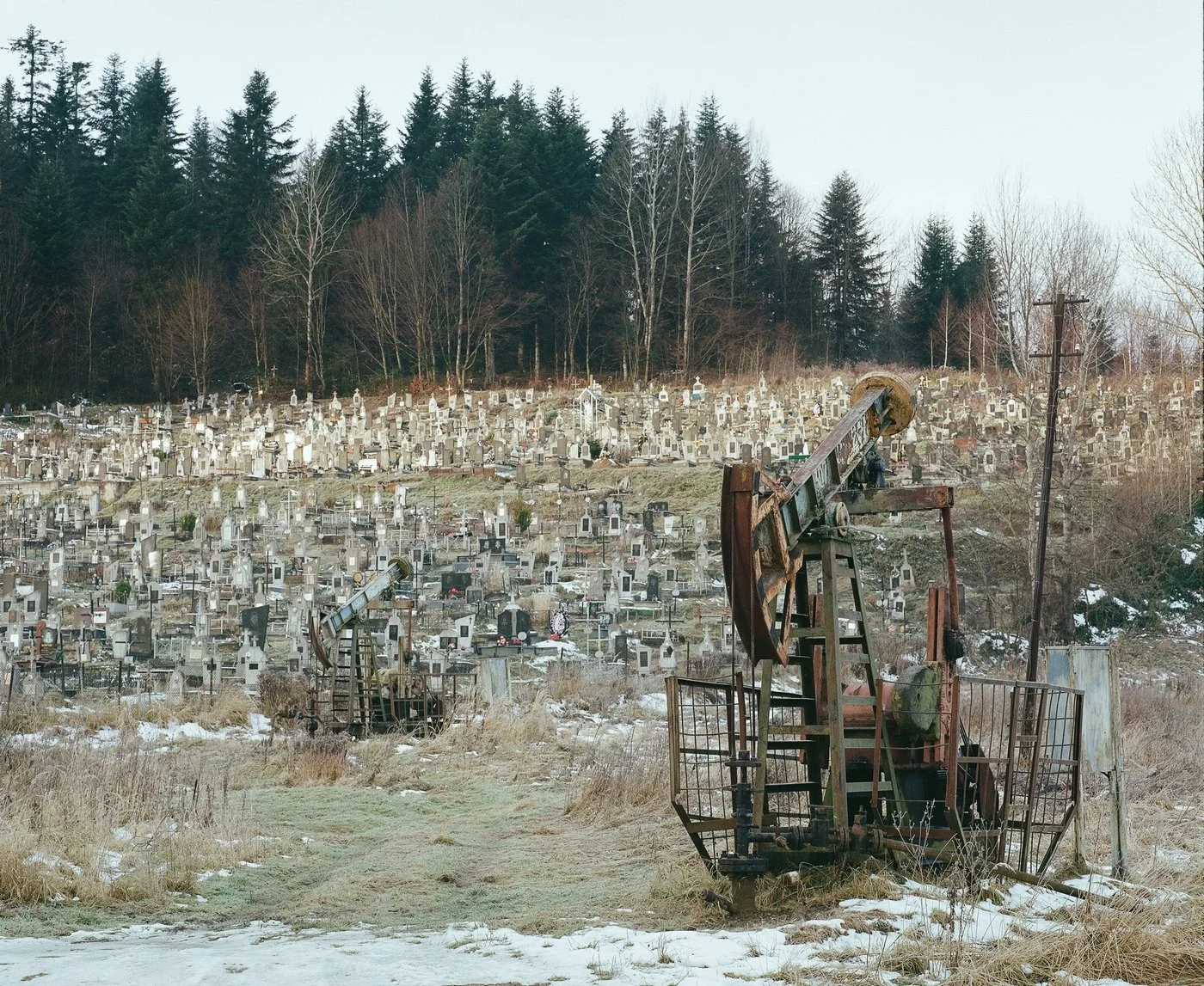 d_Boryslav_city_cemetary.JPG