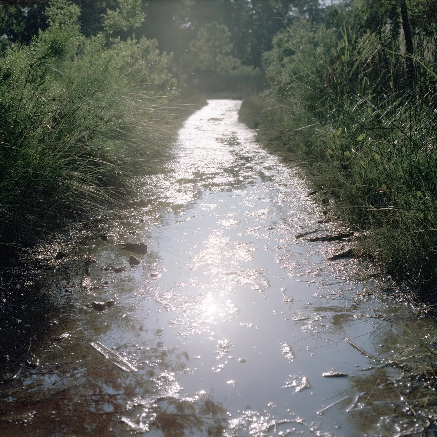 b_TarenWang__Silver_Path.jpg