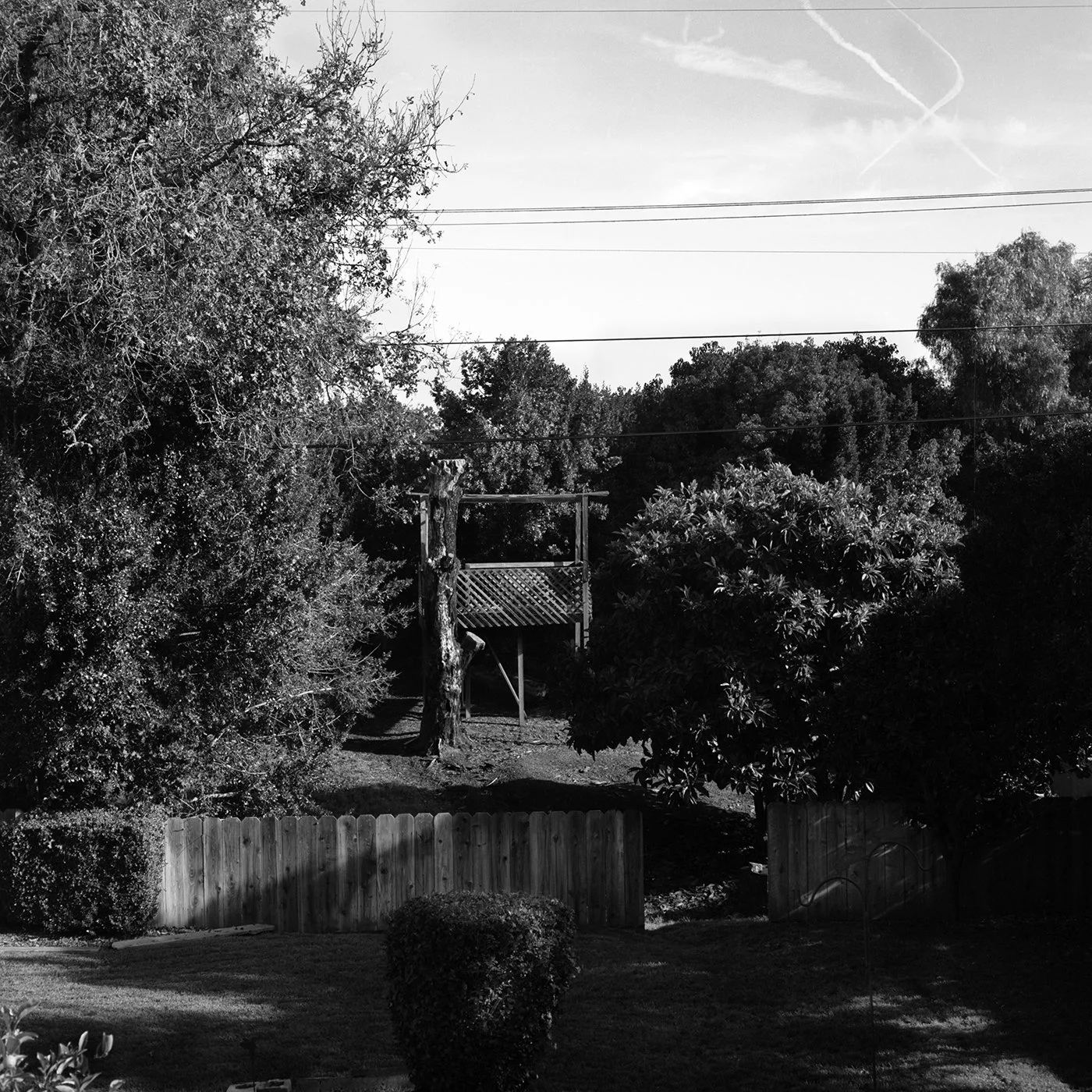 e_Untitled_Tree_House_1.jpg