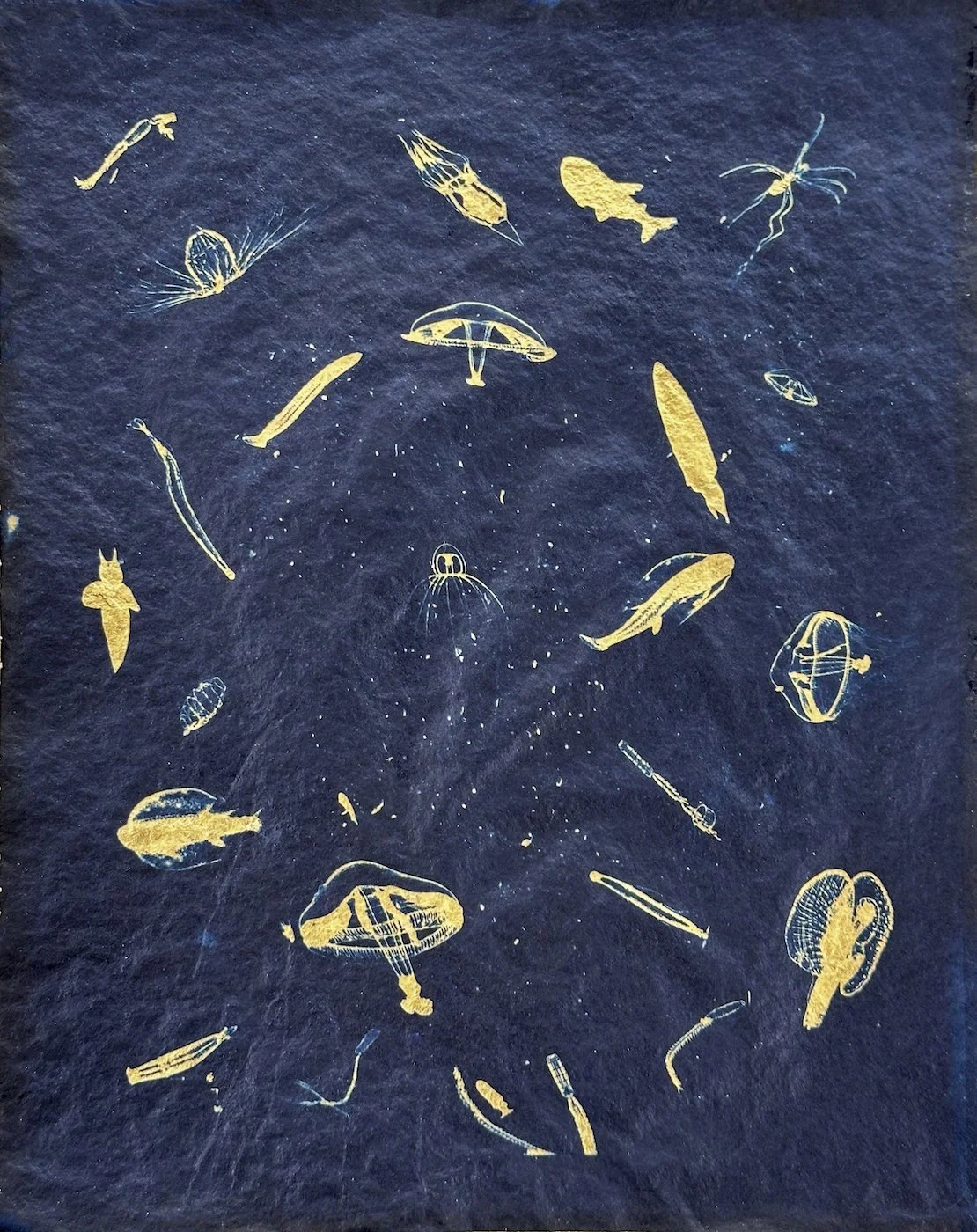 d_Great-Upwelling-Study-2.jpg