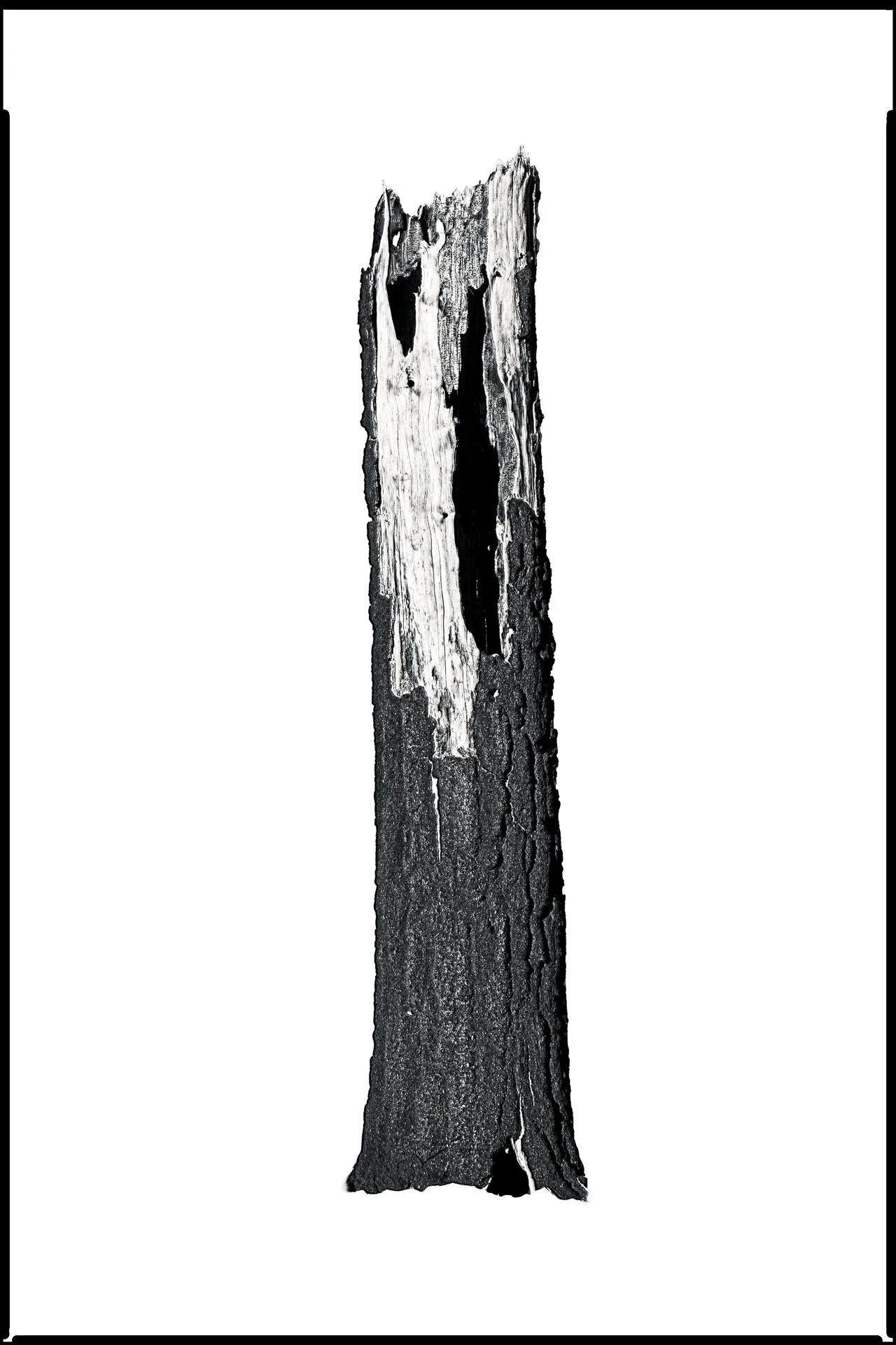02_No._709355_Evidence_of_the_Invisible_AftertheBurn_DavidWelch.jpg