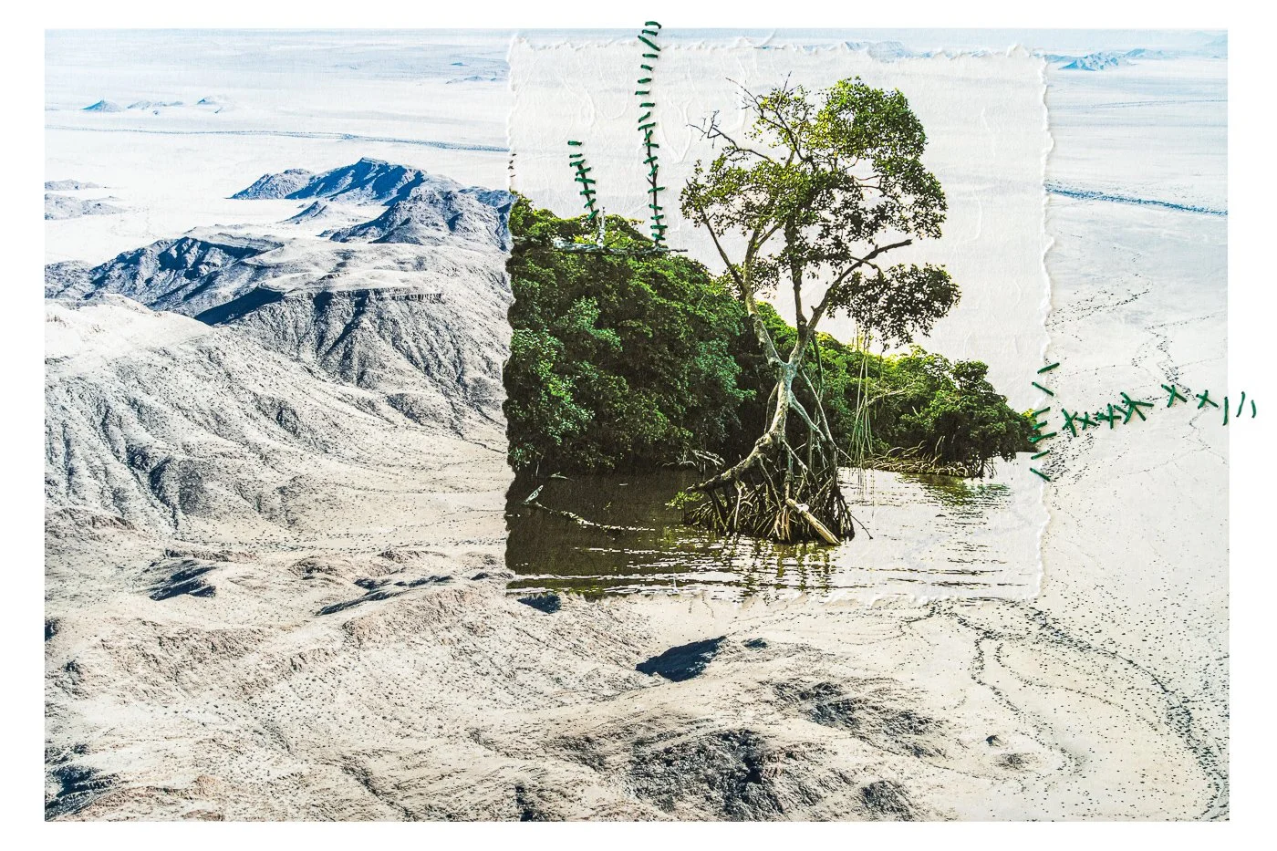 4_Portraits_of_the_Precarious_Earth.Environmental_Melancholia.83.jpg