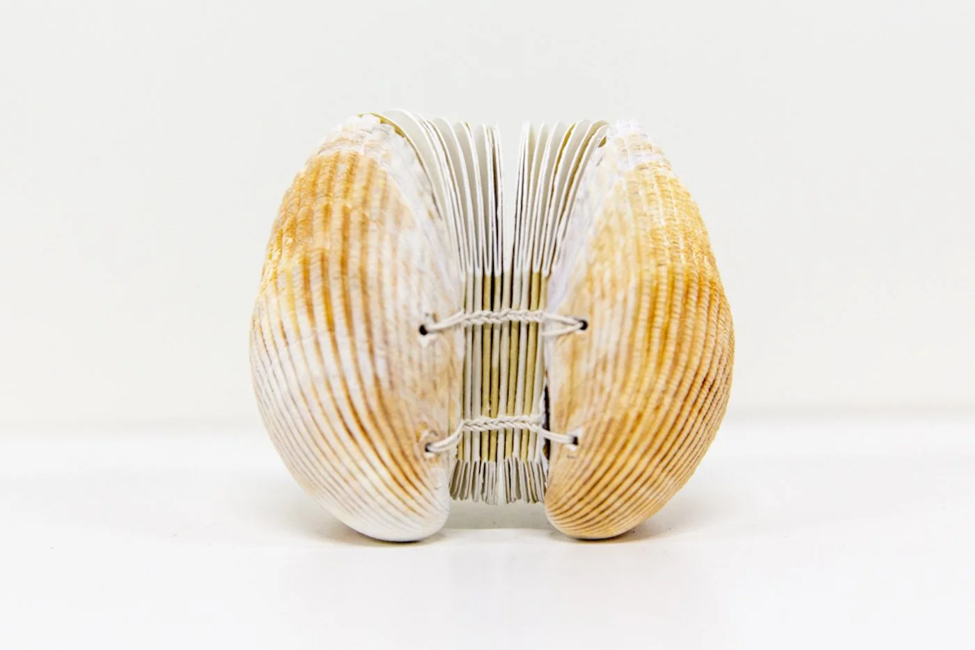 f_Oregon-Cockle-Volume-1.jpg