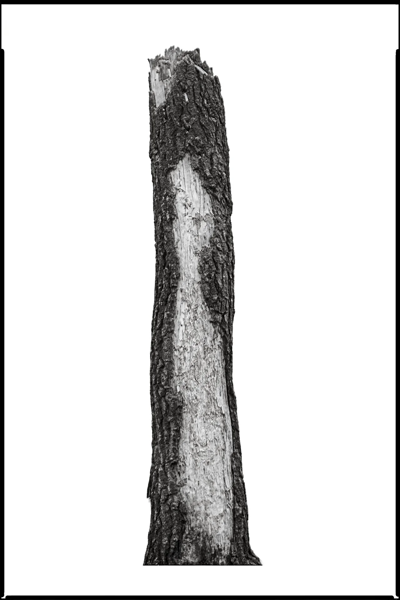 05_No._960447_The_Double_Form_AftertheBurn_DavidWelch.jpg