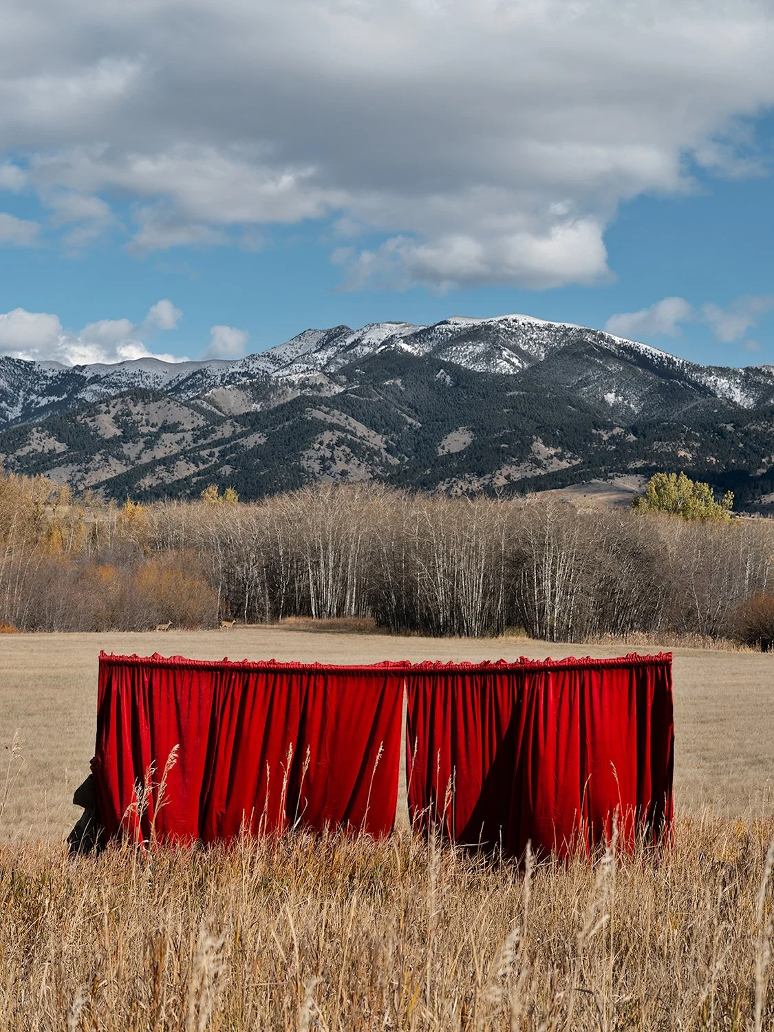 b_Curtains2.jpg