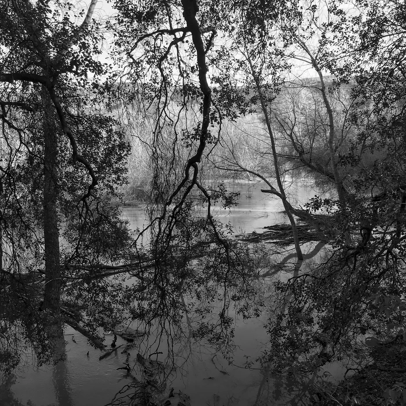 a_creek_in_winter.jpg