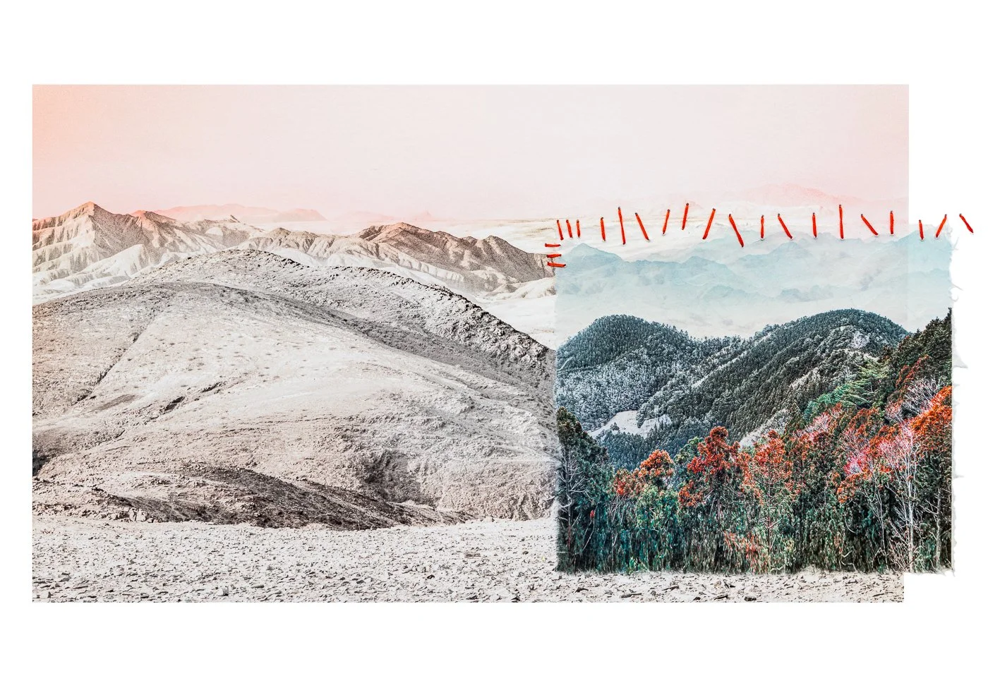 2_Portraits_of_the_Precarious_Earth.Environmental_Melancholia.74.jpg