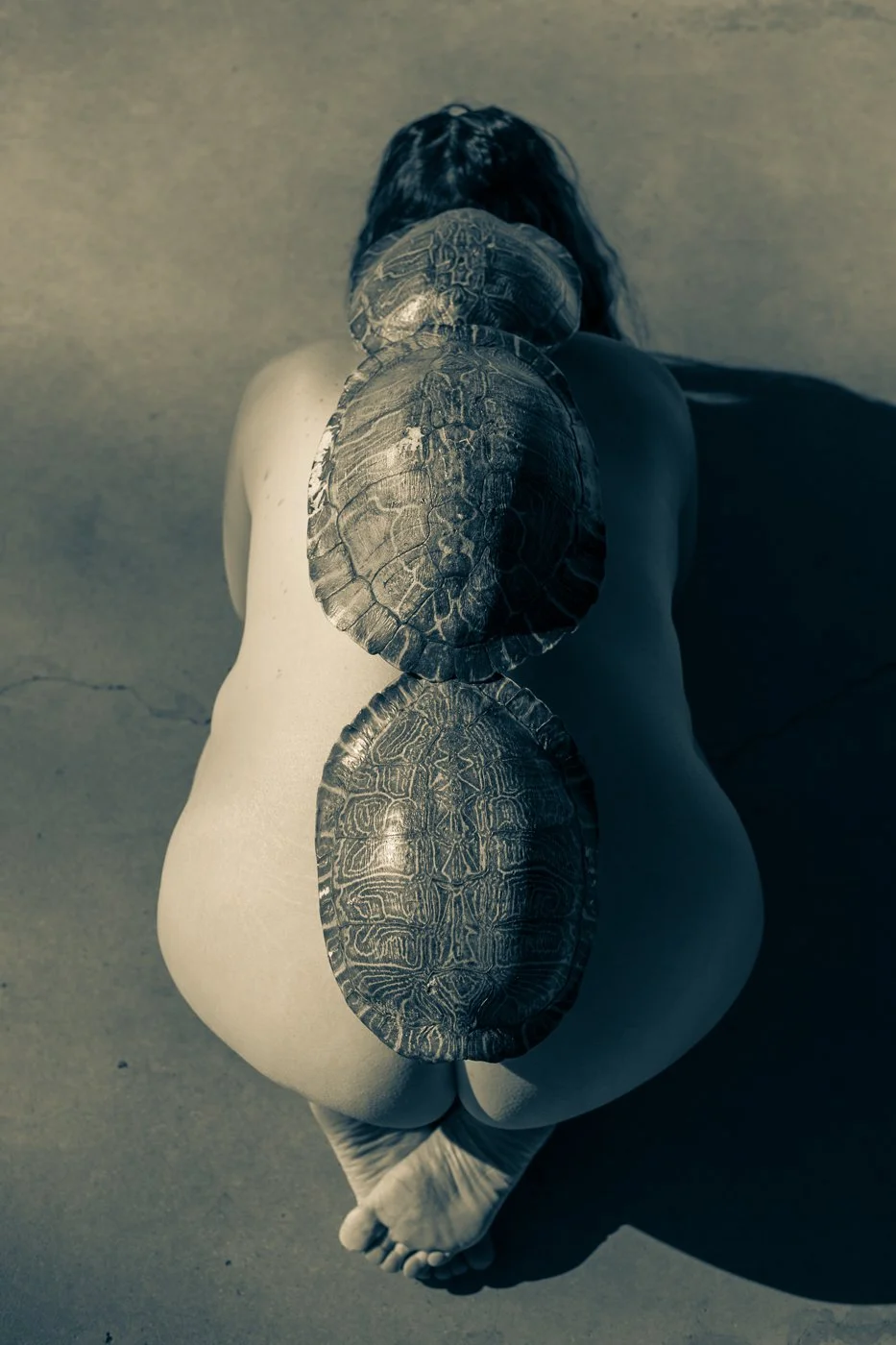 c_Three_Generations_on_my_Back.jpg