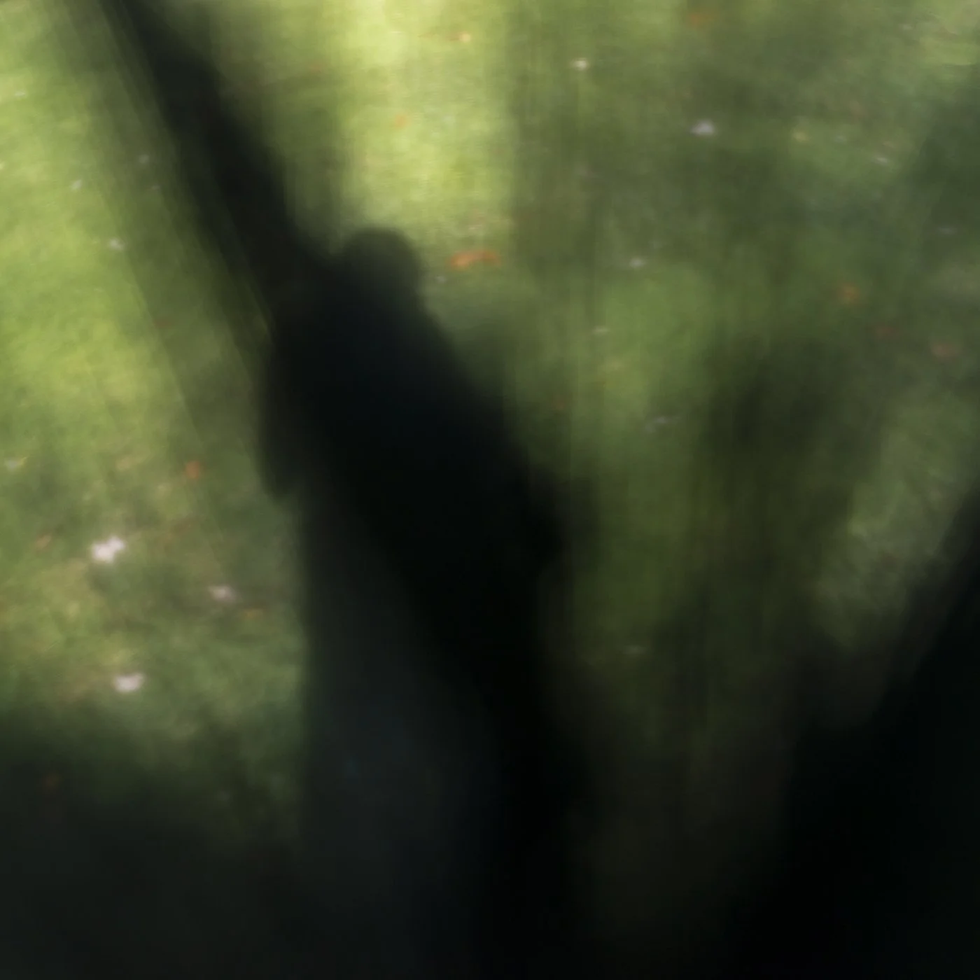 c_Untitled_9083.jpg