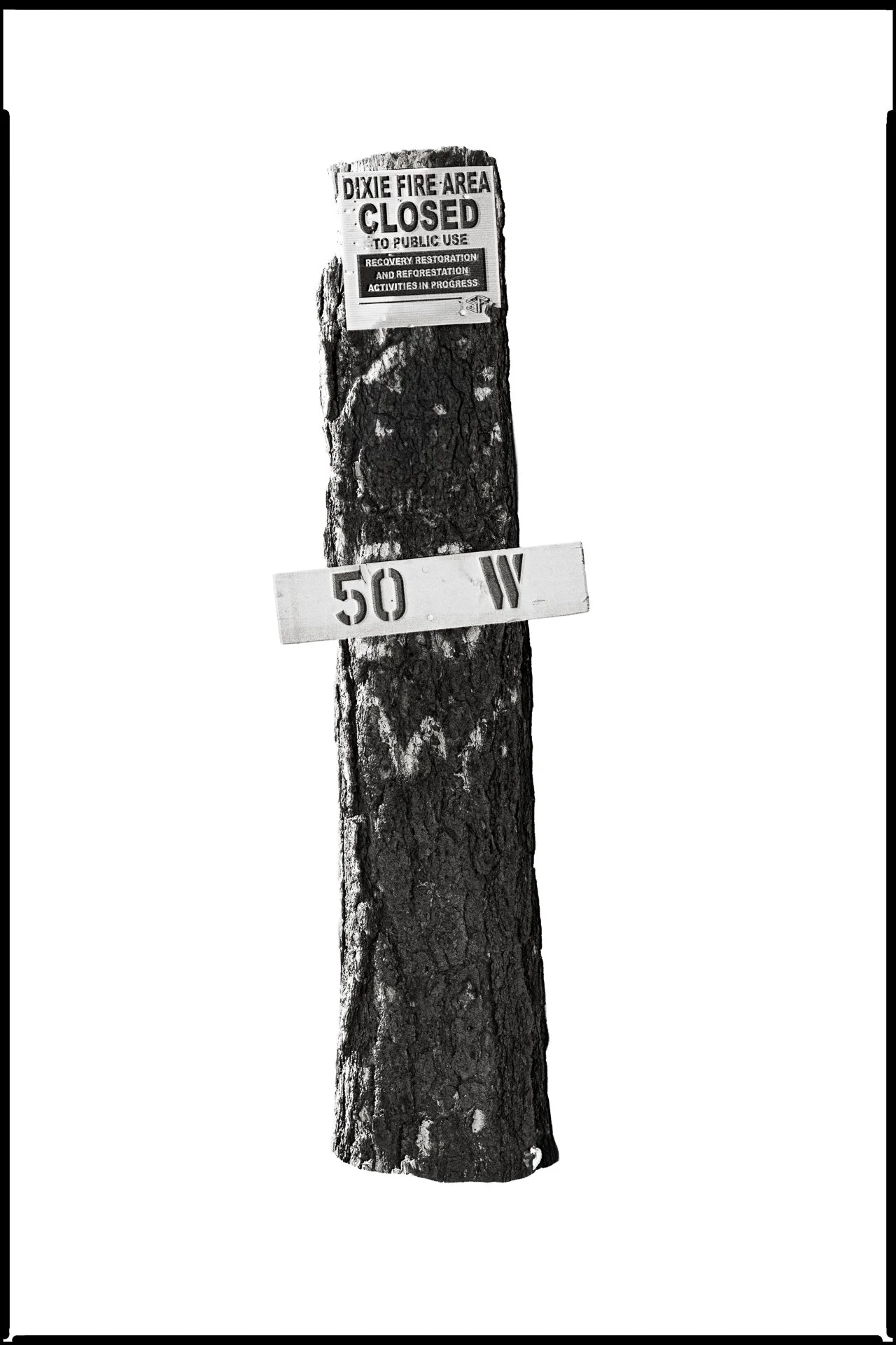 01_No._004372_Monument-_The_First_Witness_AftertheBurn_DavidWelch.jpg