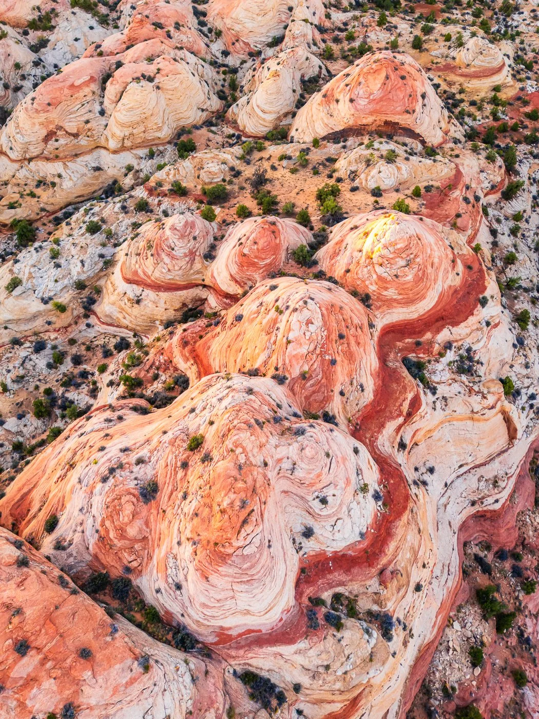 p_Public_Lands_16.jpg