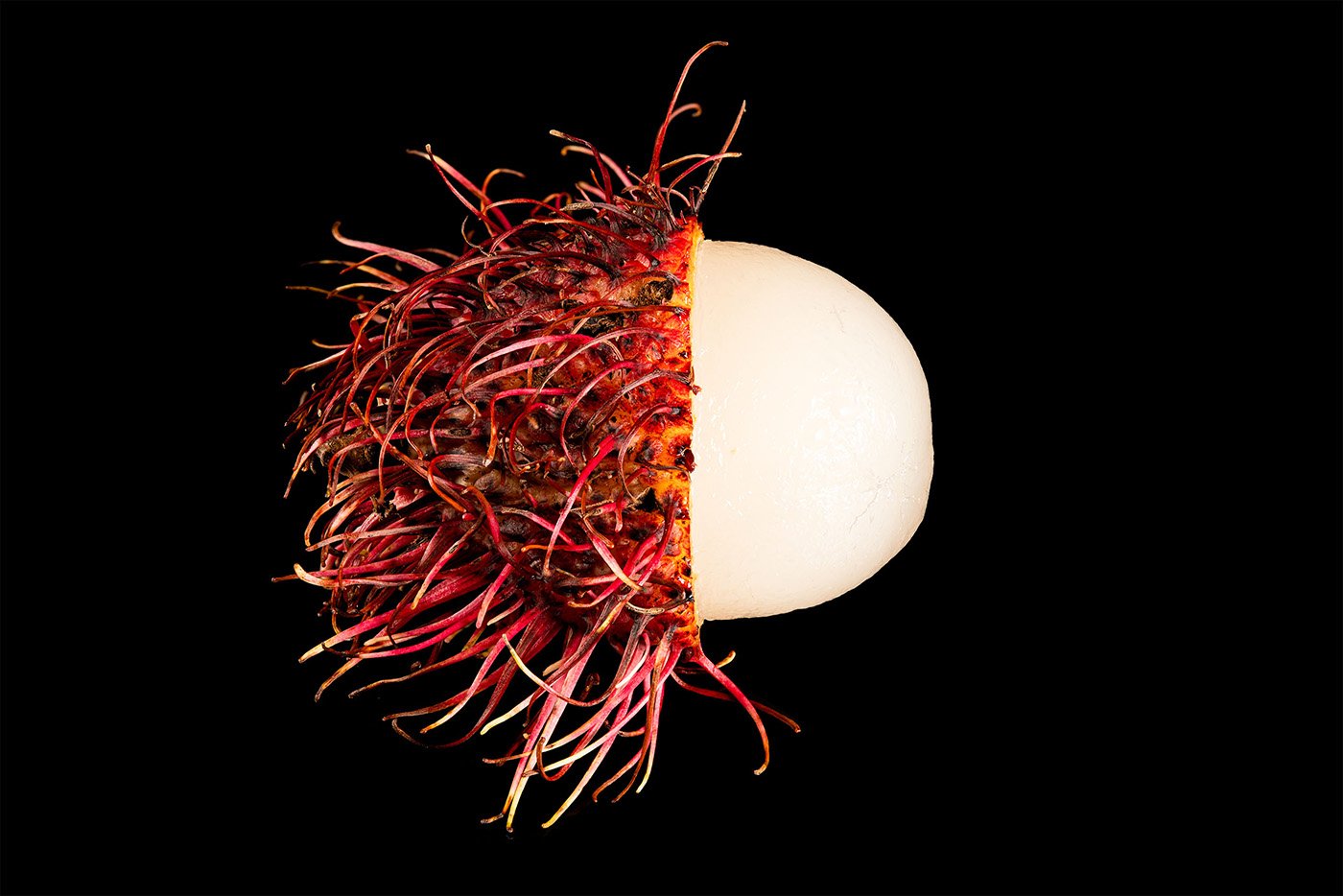 a_Rambutan.jpg