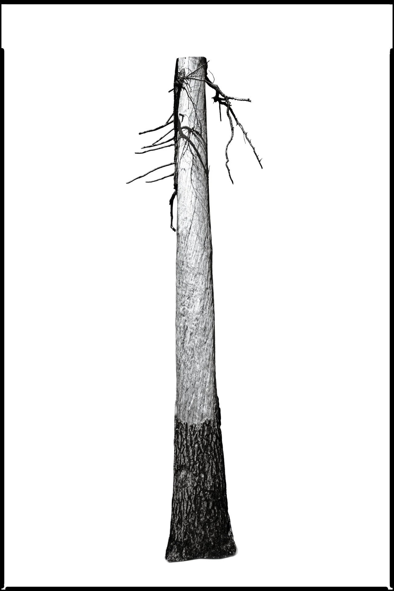 06_No._318559_The_Column_AftertheBurn_DavidWelch.jpg