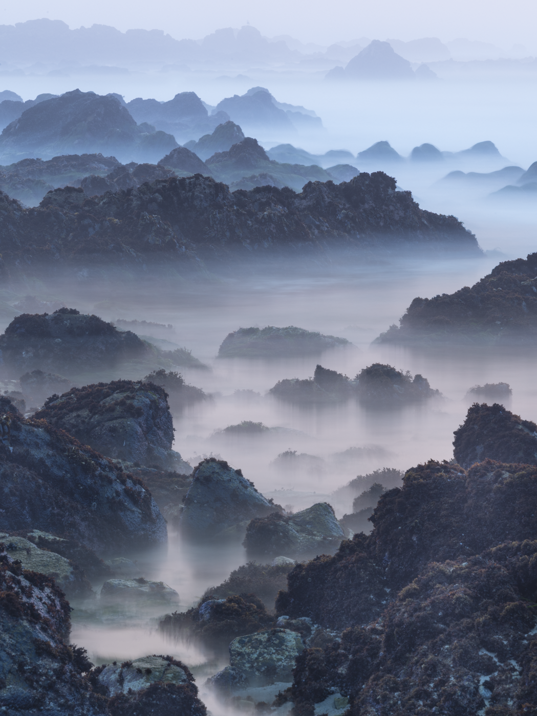 c_Misty Mountains - Jon McCormack.png