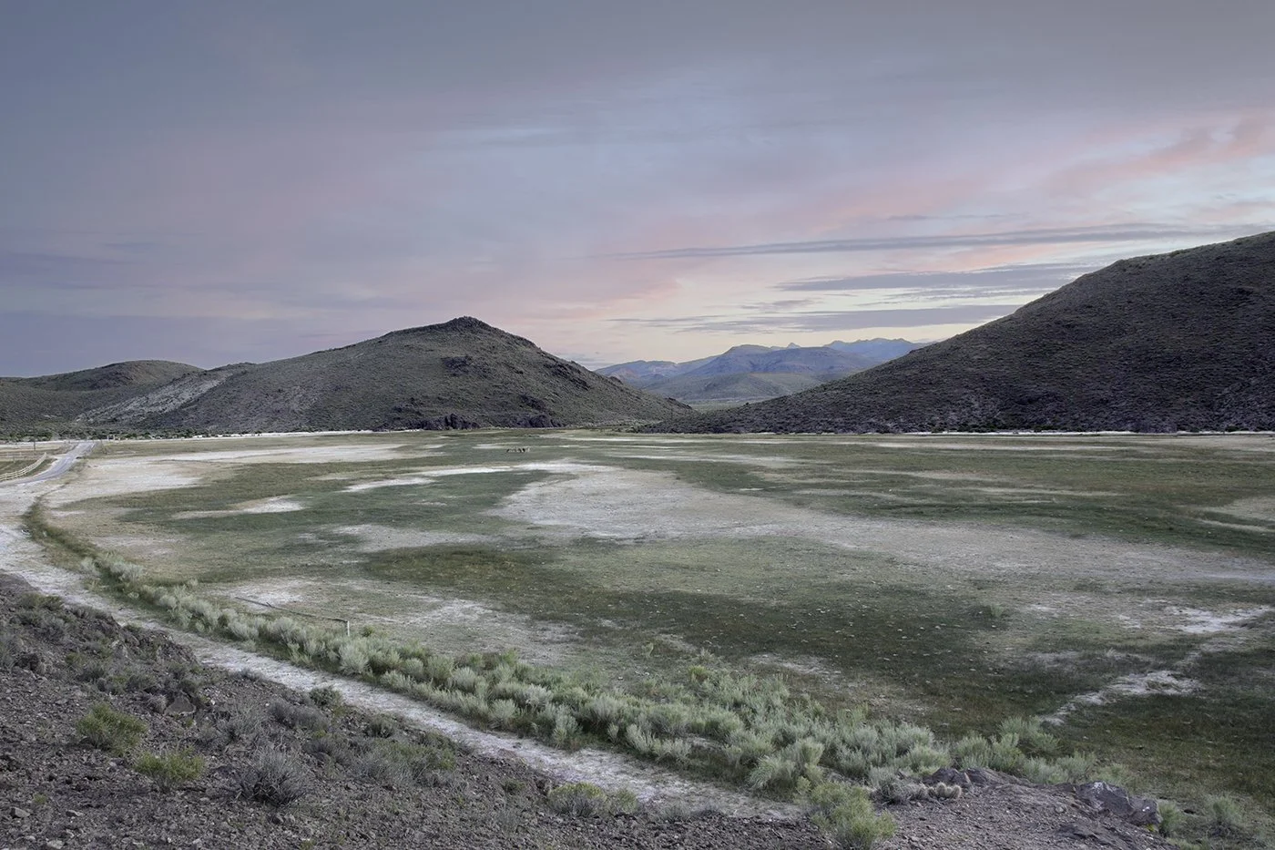 b__5_Donkeys_7J_Ranch_Spring_4_7.jpg