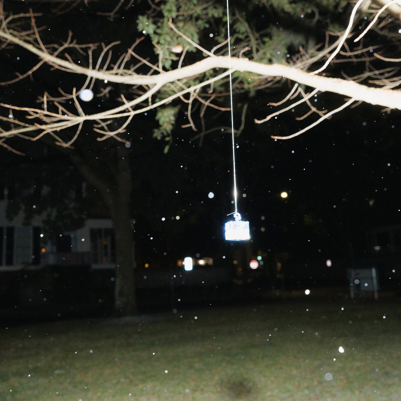 f_TarenWang__Midnight_Lighting_the_Snow.jpg