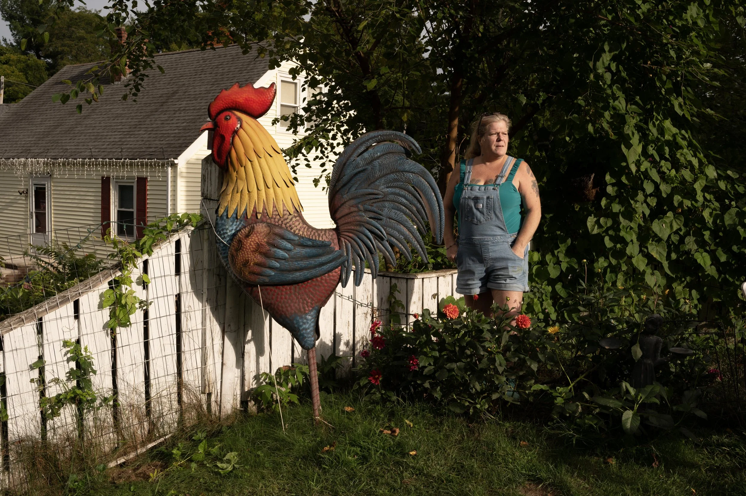 a_Rooster.jpg