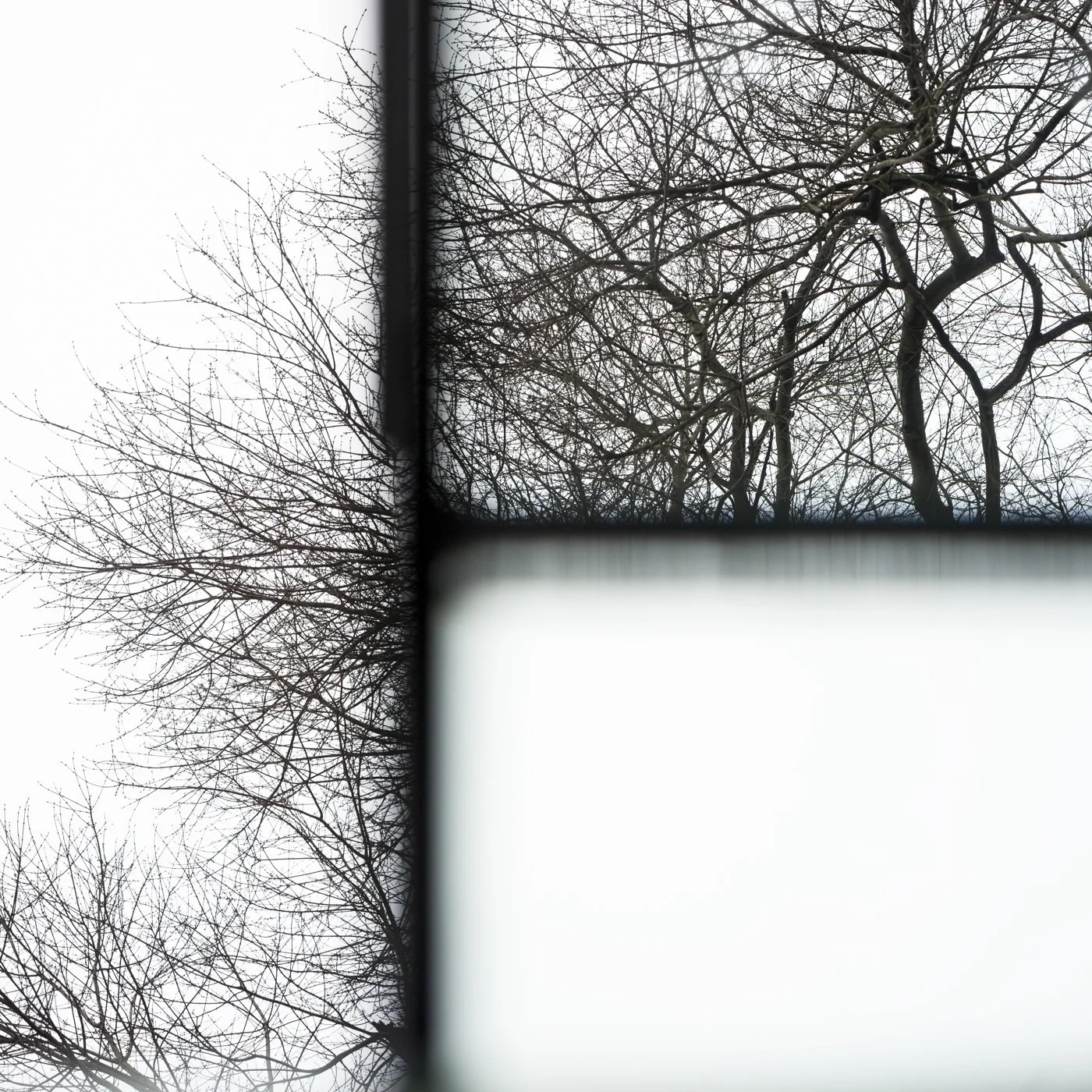 e_Untitled_3008.jpg