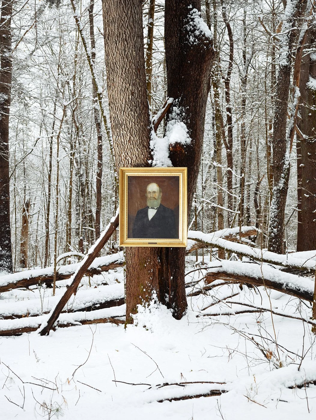 q_Simon_in_Winter.jpg