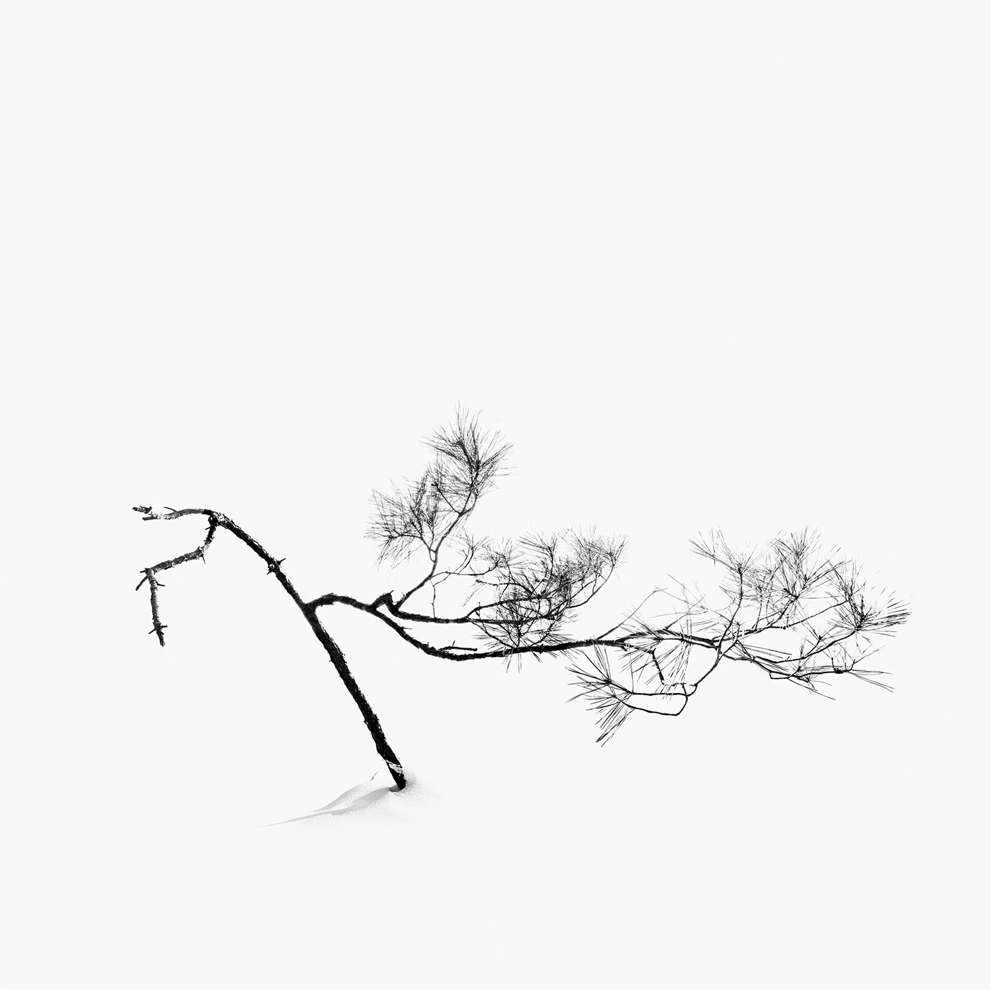 f_17syllables - フォトスタジオザ・フォースアベニュー.jpg
