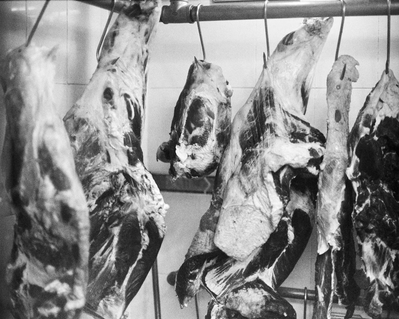 c_Hanging_Meat.jpg