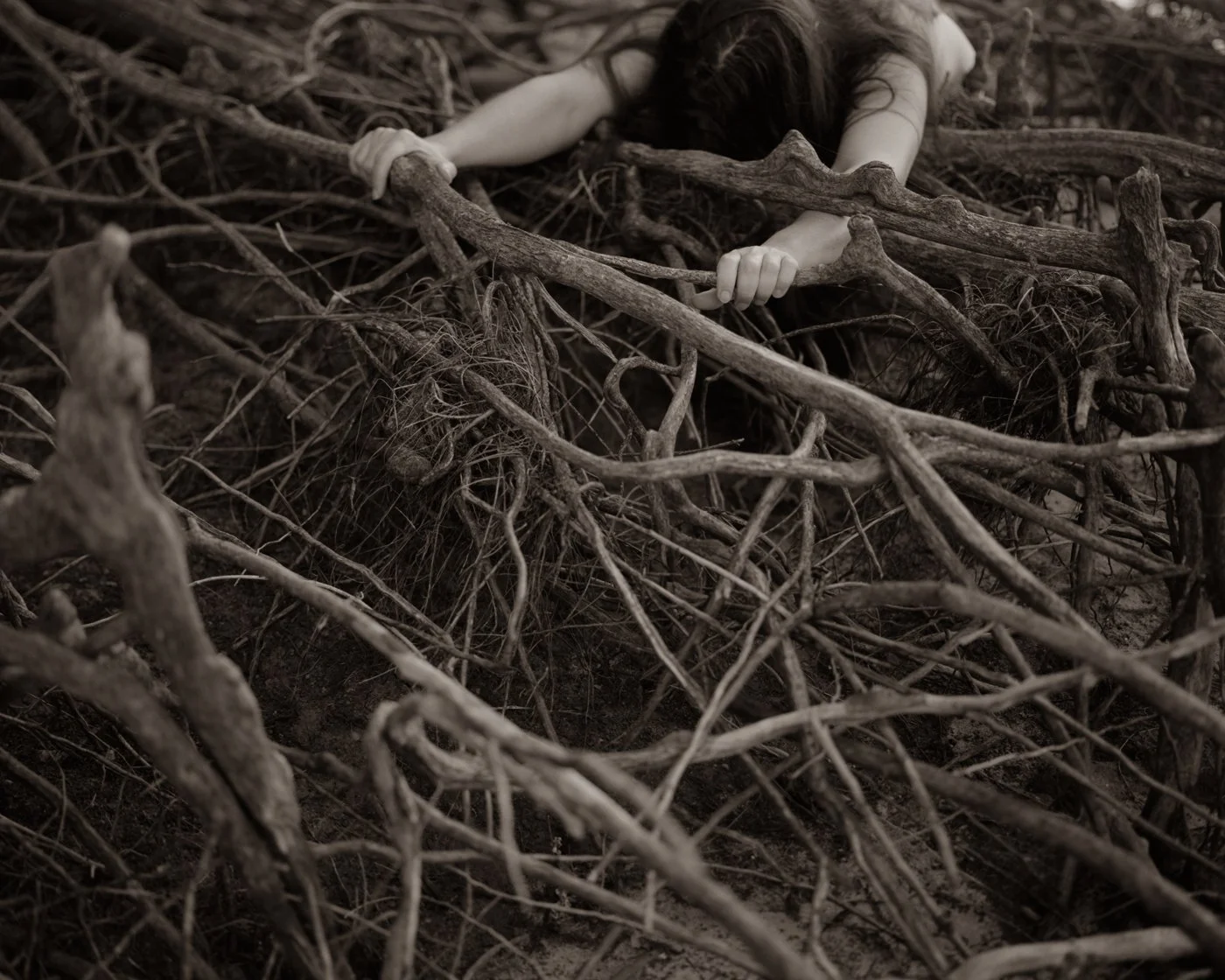e_When_the_roots_take_hold.jpg