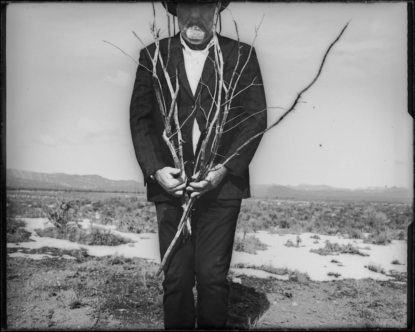 f_Echoes_of_Self-Withered_Ties.jpg