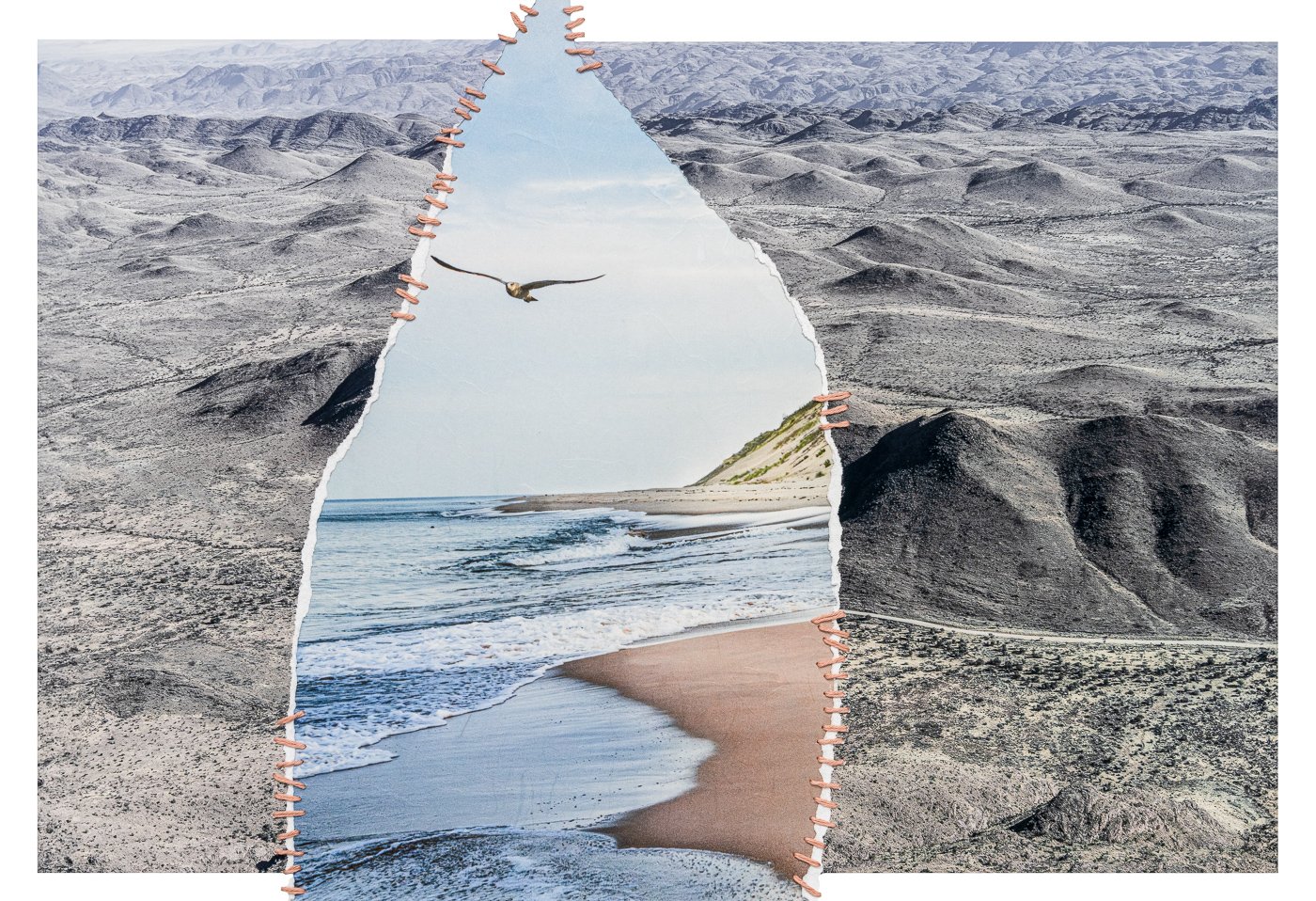 6_Portraits_of_the_Precarious_Earth.Environmental_Melancholia.79.jpg