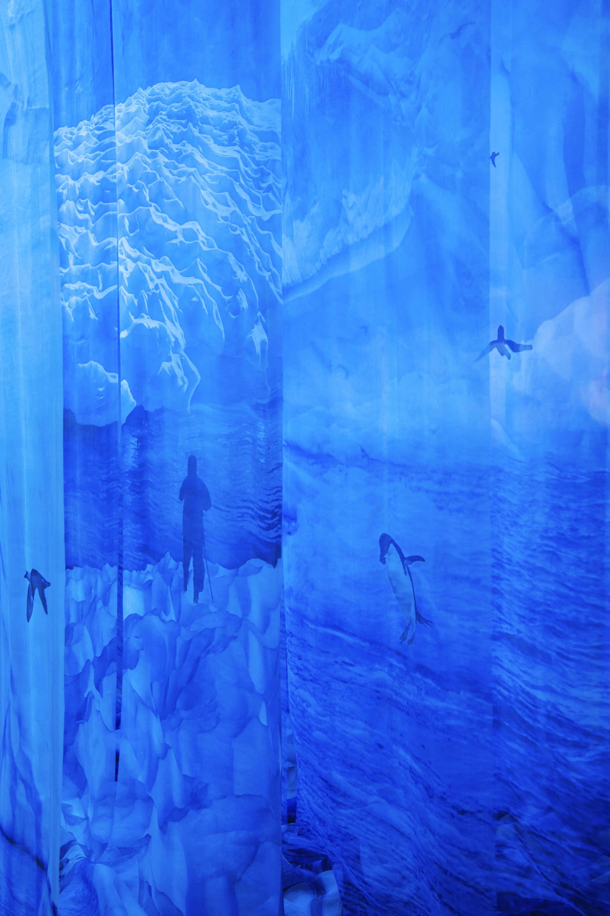 g_Blue_Tears_view_of_multiple_veils..jpg