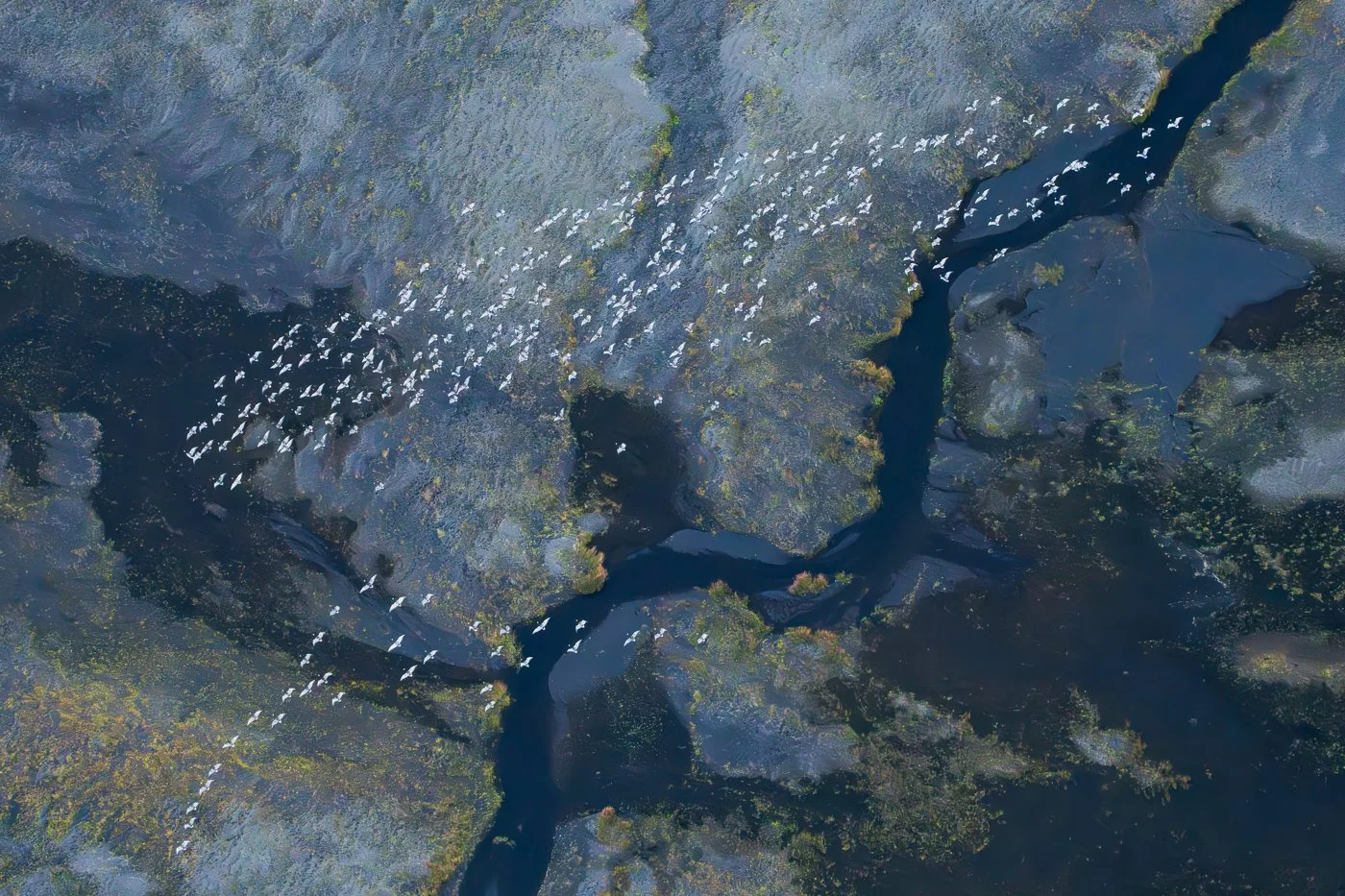 t_aerial-meditations-on-untouched-earth.jpg