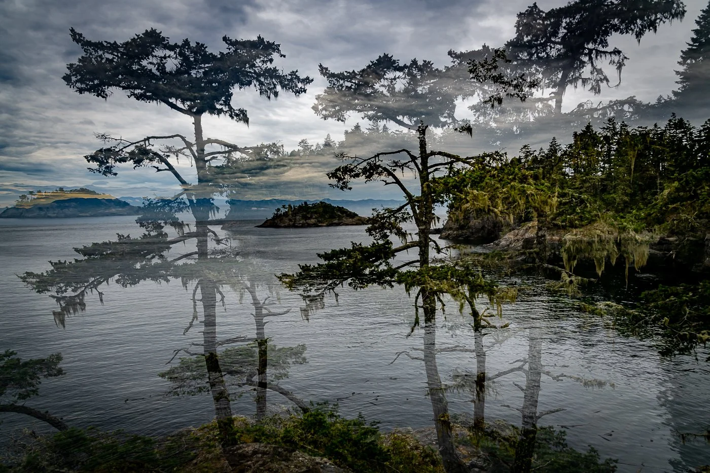 n_PortraitOfAVanishingLandscape.jpg