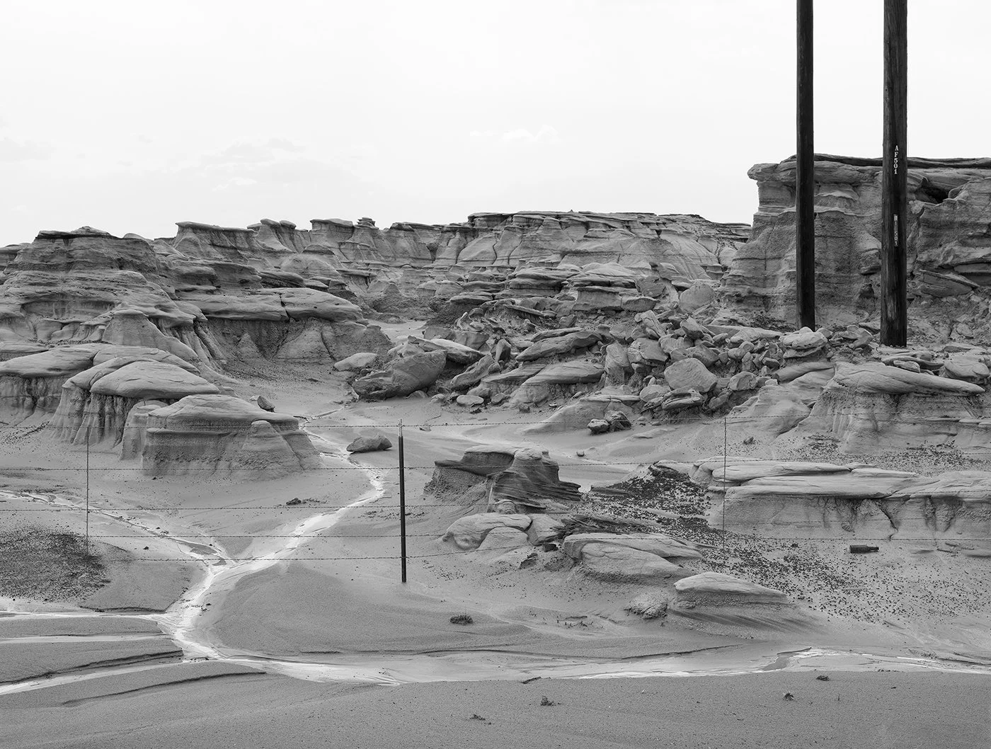 f_AOR-Bisti_Badland_Poles.jpg
