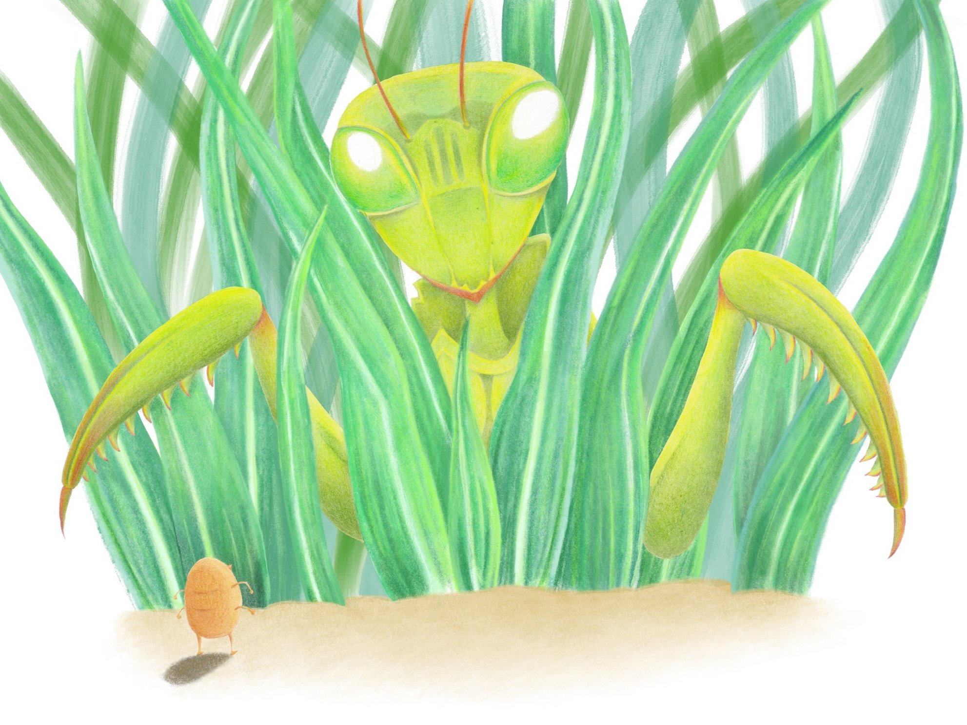 Children's Book Illustration