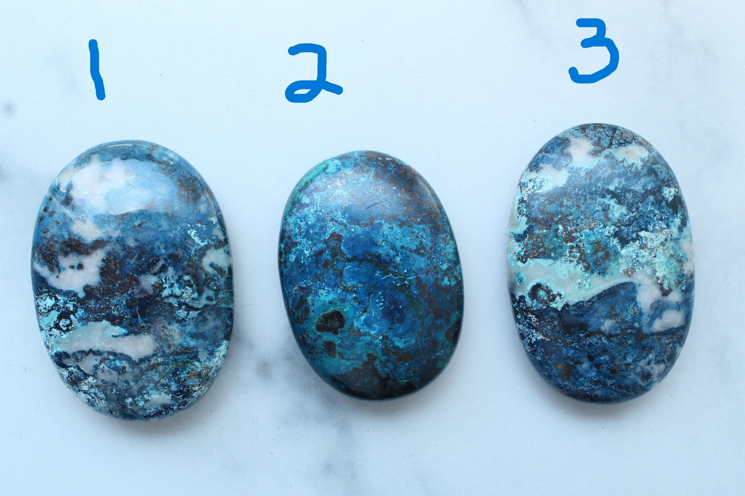 IMG_1646 with numbers.JPG