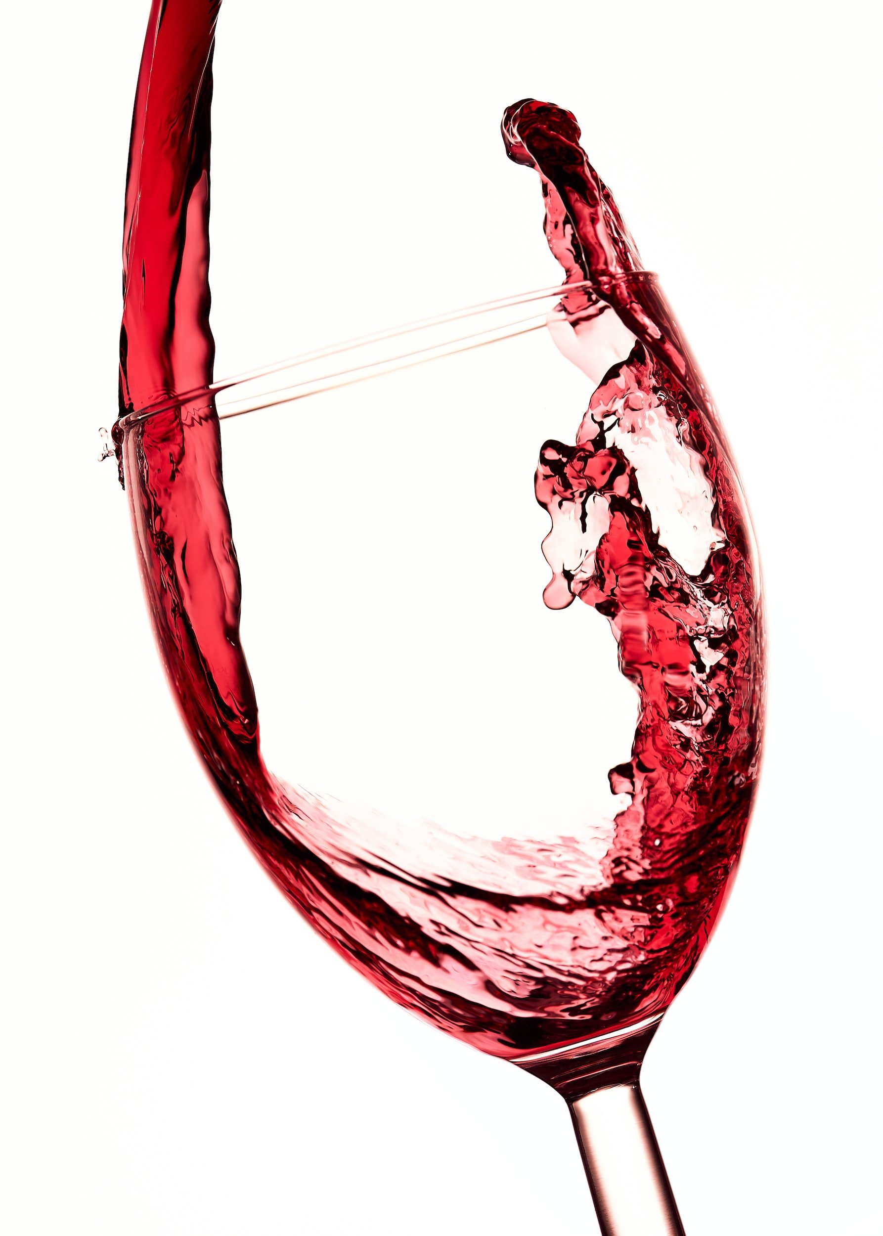 What are tannins?