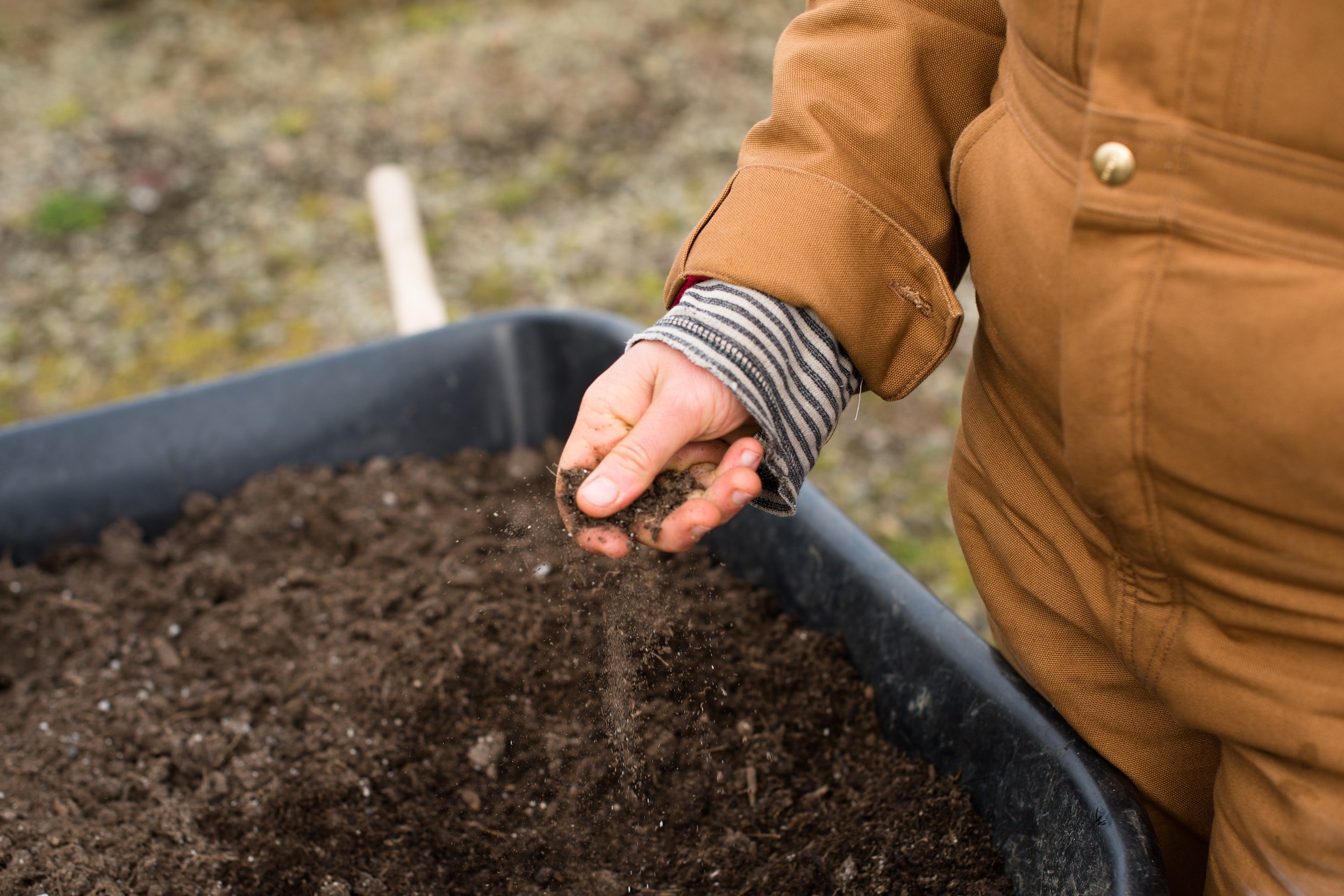 A winemakers guide to organic
