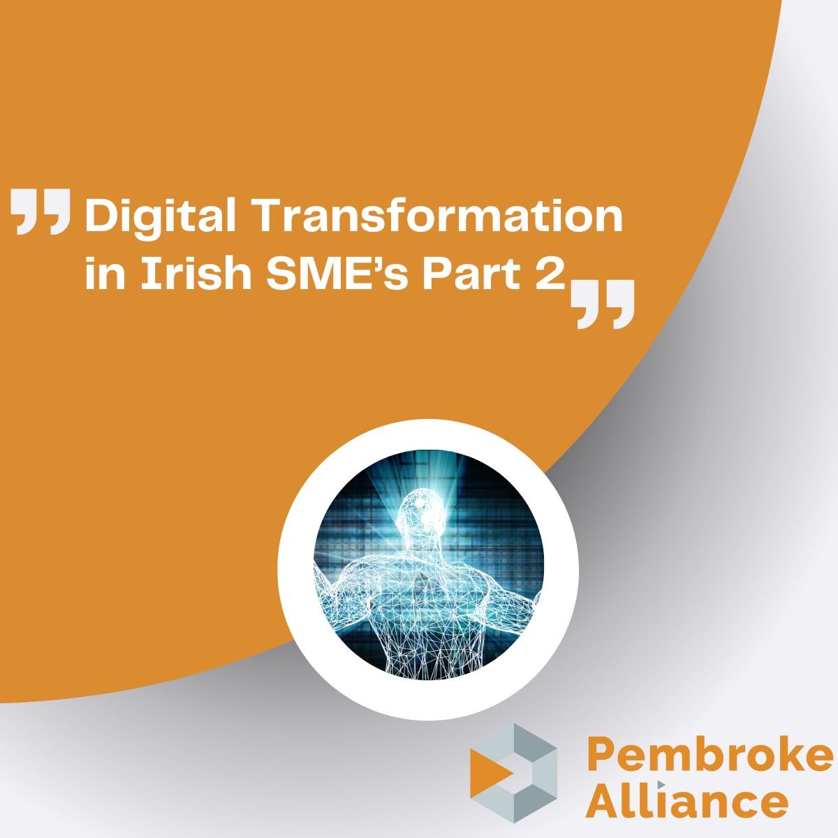 Digital Transformation in Irish SMEs   Part 2