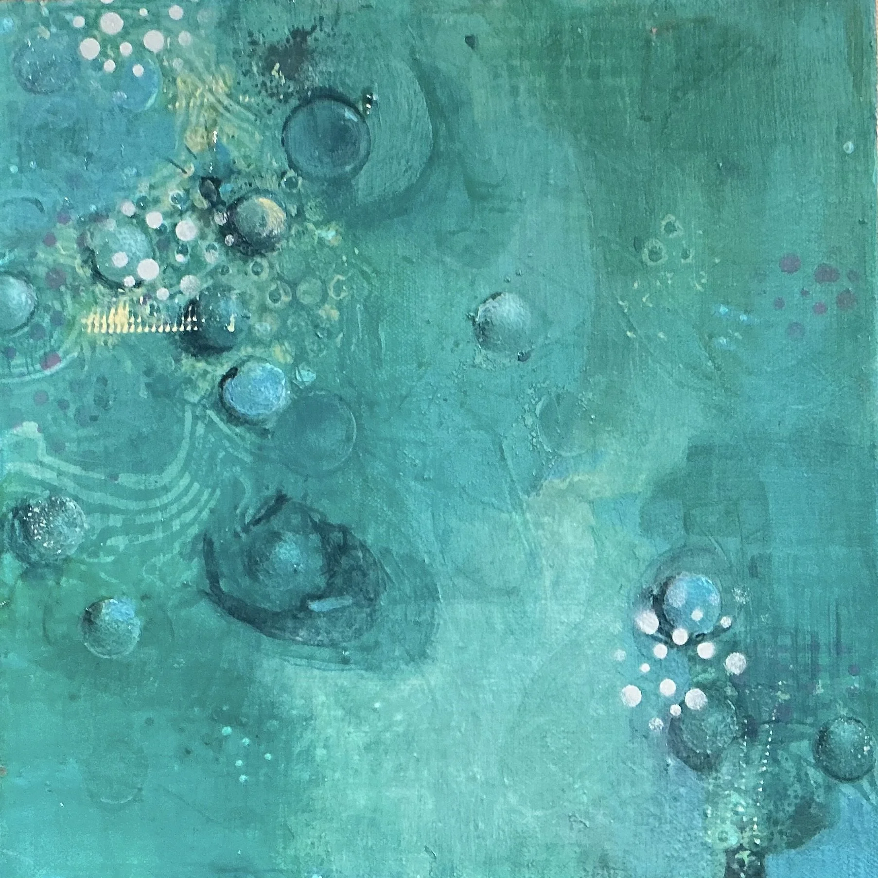 New 12x12 Aqua 2