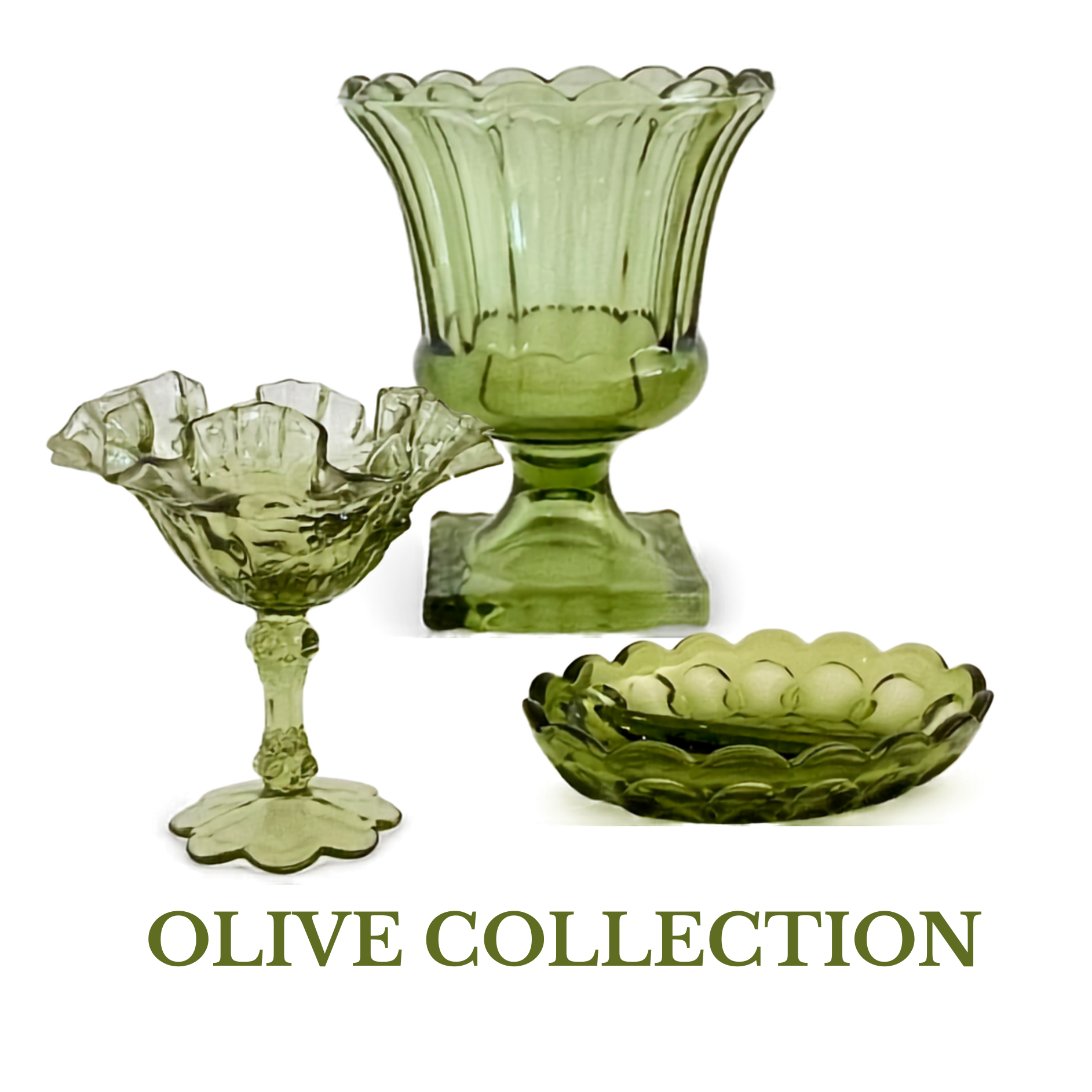 Olive collectio - 1.png