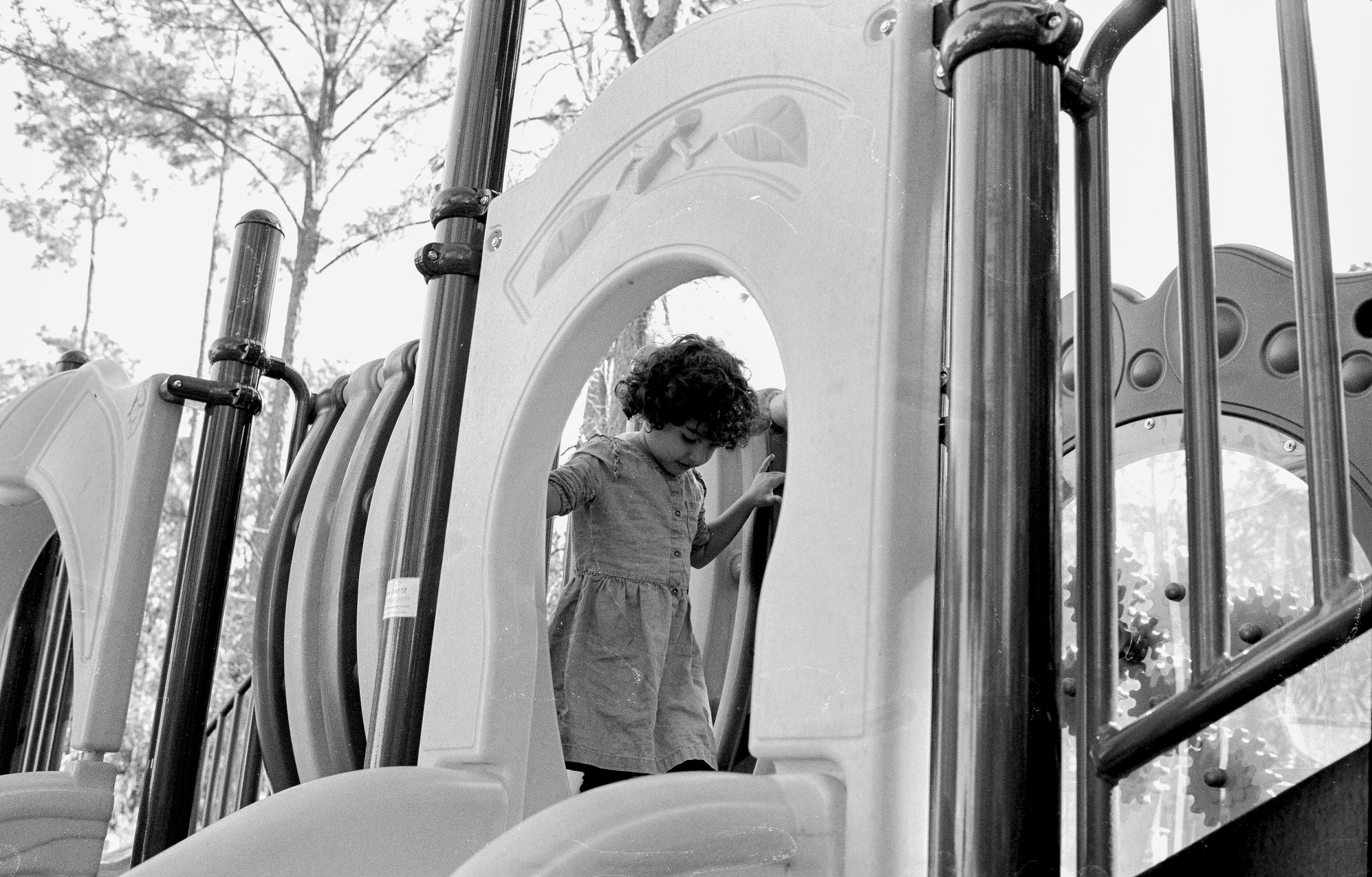 ics_final-8.jpg