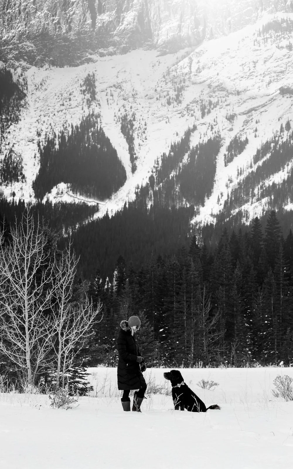 A woman in winter clothing standing in the snow, talking to a black dog, with a snowy forest and mountain range in the background.