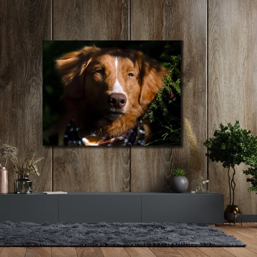 Artwork of a brown dog with one eye slightly closed and wearing a floral scarf on a wooden wall.