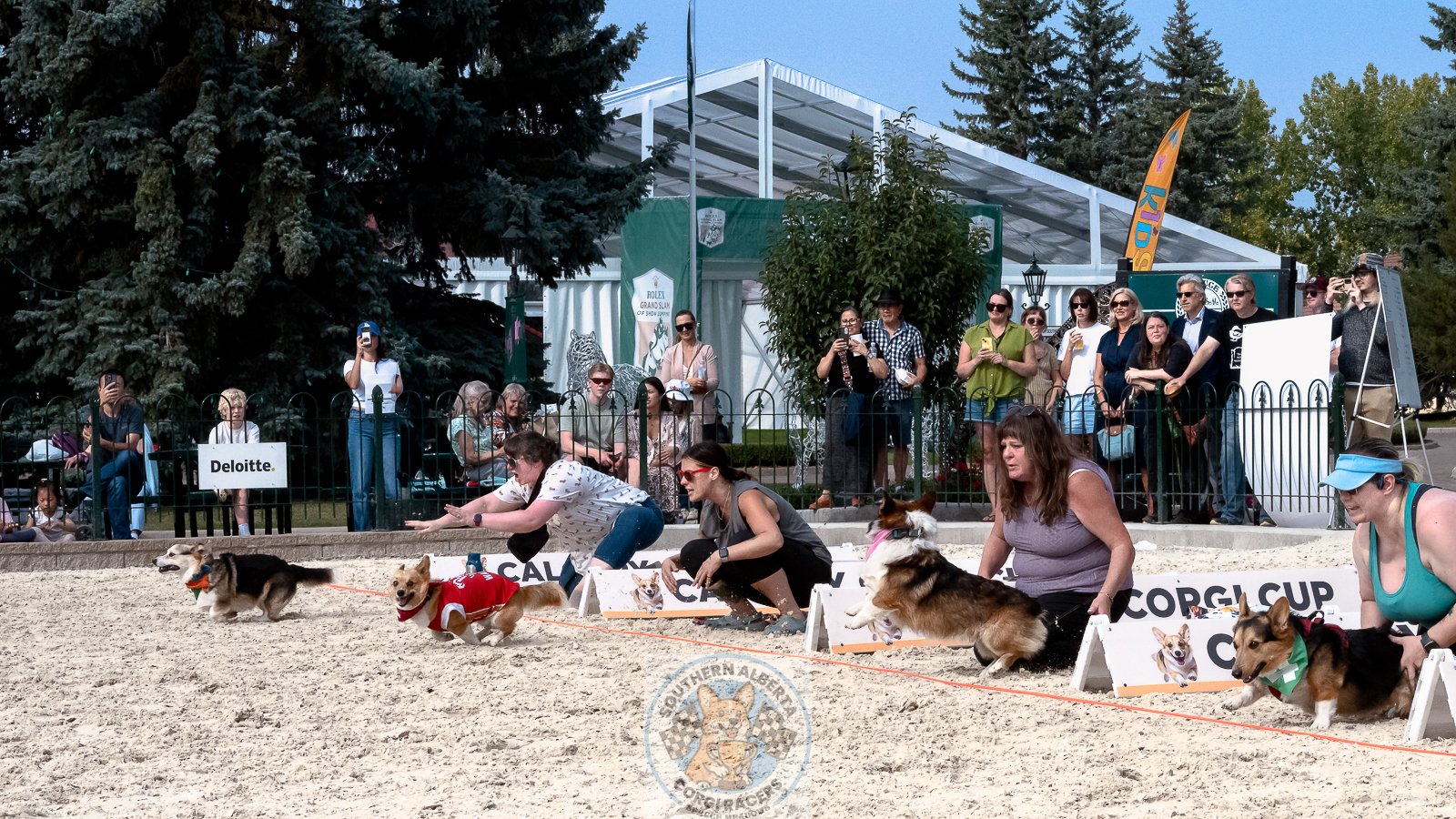 Corgi Racing Masters Princess Sophie.JPG