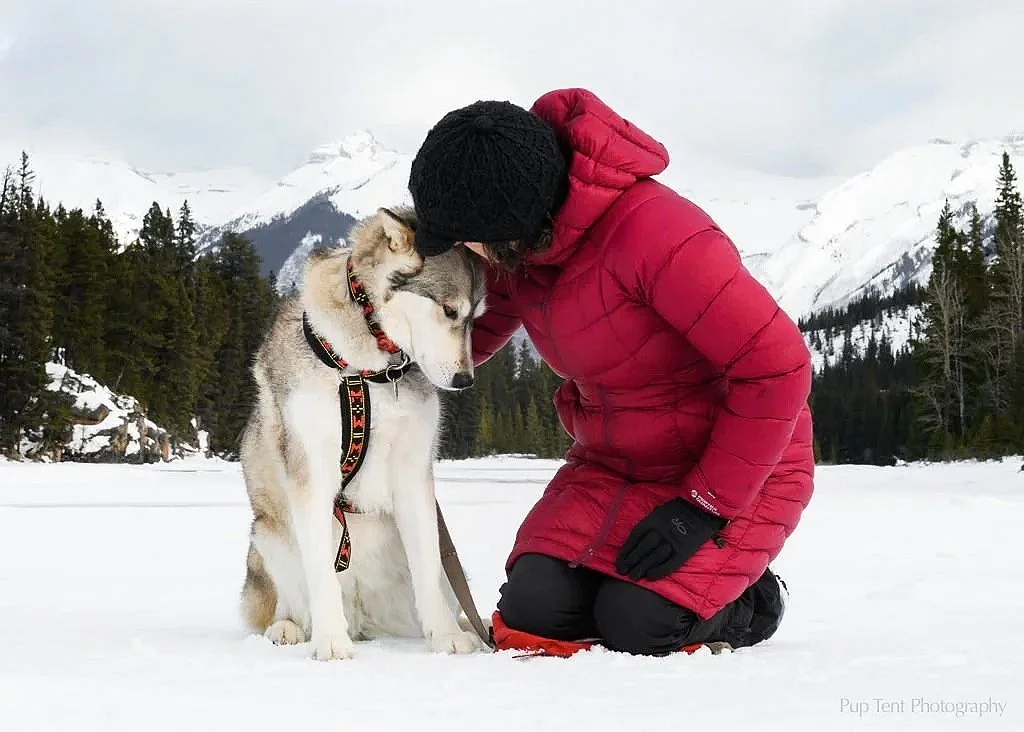 A person in a red jacket and black hat kneels in the snow, touching foreheads with a Siberian Husky dog, with snowy mountains and trees in the background.