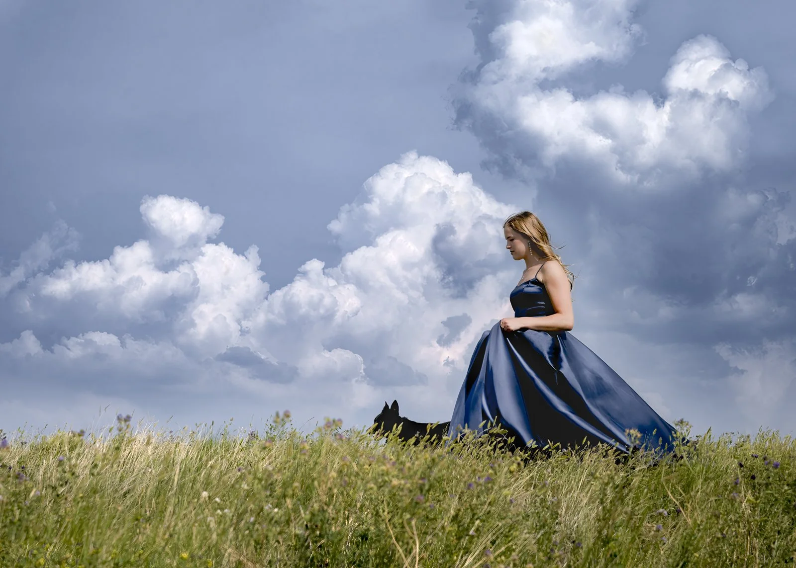 A woman in a long, navy blue gown standing in a grassy field under a cloudy sky, with a black dog lying beside her.